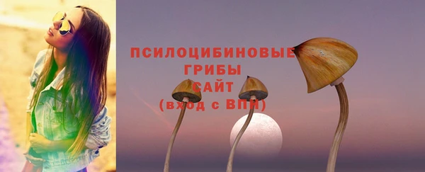 первитин Верхний Тагил