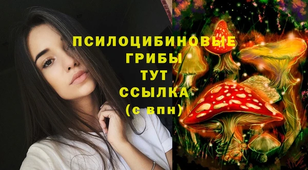 первитин Верхний Тагил