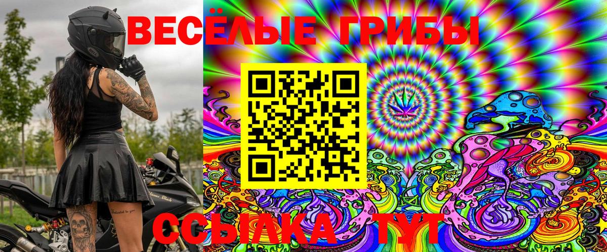 Псилоцибиновые грибы Magic Shrooms  Вход с VPN  Северобайкальск 